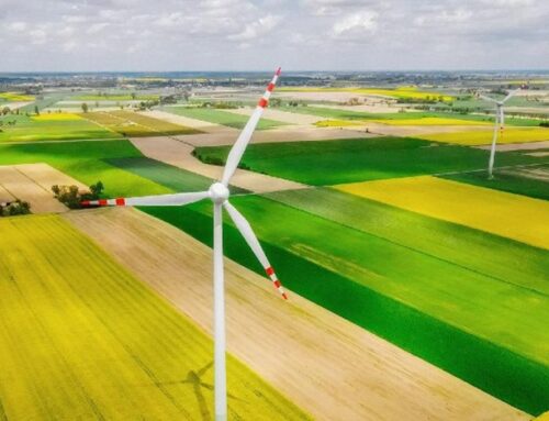 UK launches net-zero review