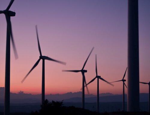 Germany awards 1.6GW in latest renewables tender