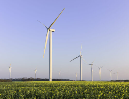 SmartestEnergy launches Traceable Renewable Supply to drive greater transparency of renewable energy consumption